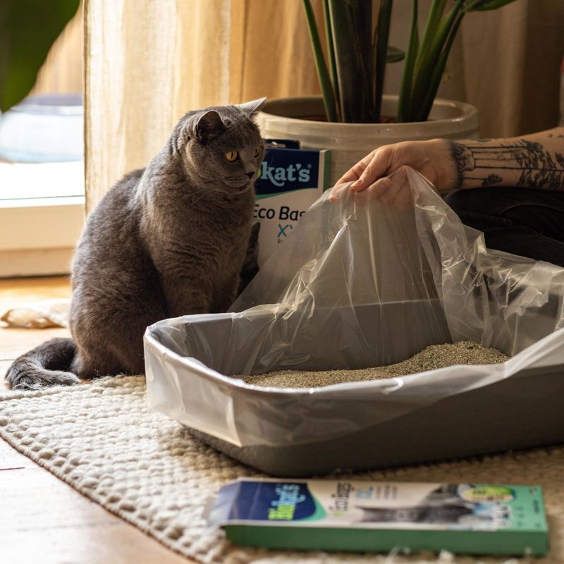 Biokat’s Eco Bags XXL – Bolsas higiénicas ecológicas para areneros de gato 🐾🌿