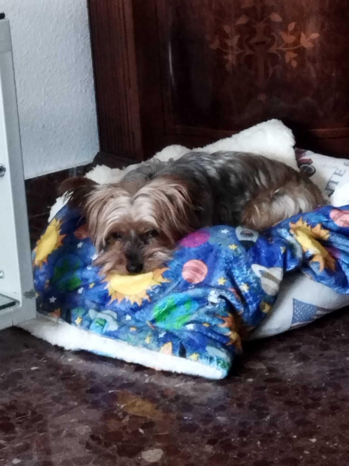 Mantas Ultra Suaves Laika