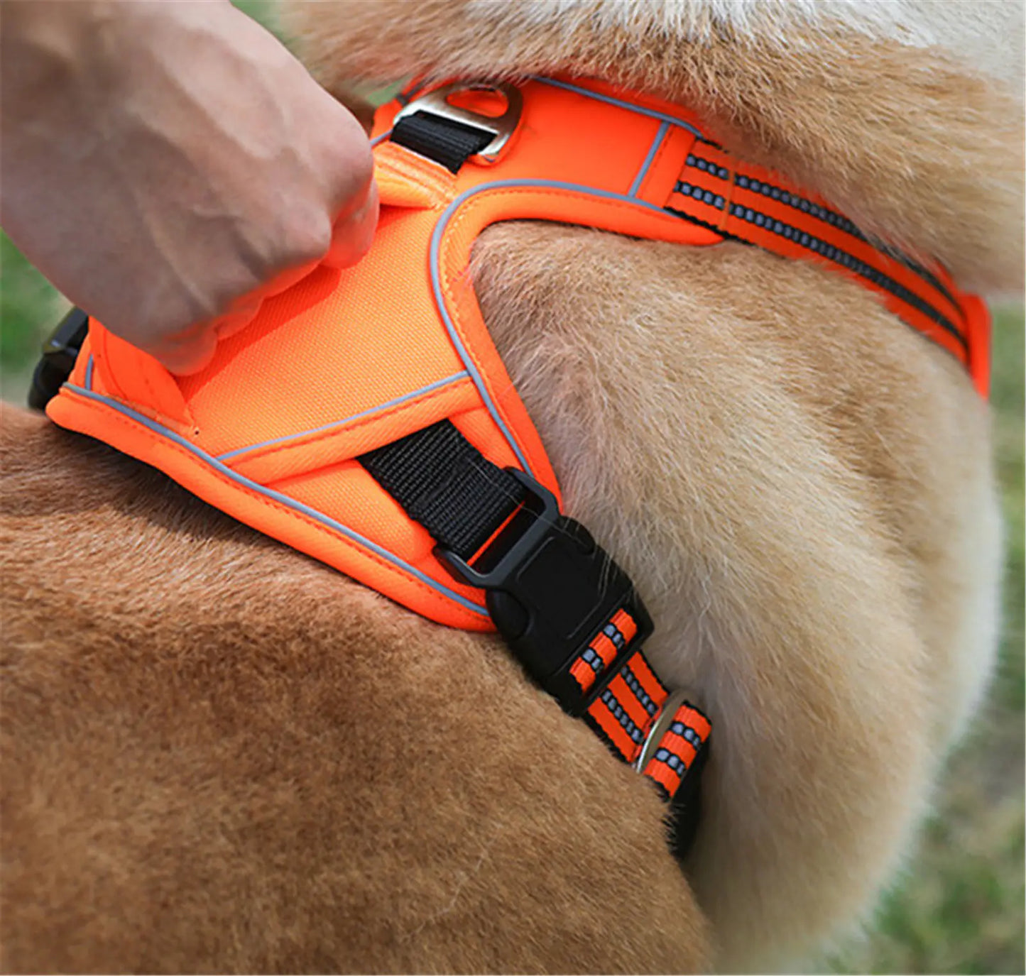 🐶Arnés impermeable y duradero para mascotas – con asa vertical para mayor control