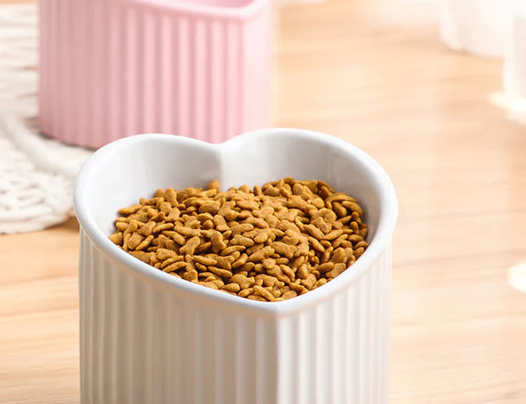 Comedero de Cerámica con Diseño Inclinado para Gatos😻