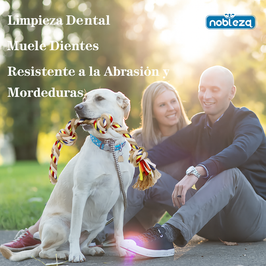 Juguete de Cuerda Nobleza Modern para Perros, Entrenamiento para Perros, Beneficioso para la Salud Mental y Dental, Limpieza, para Perros Grandes con Dentición