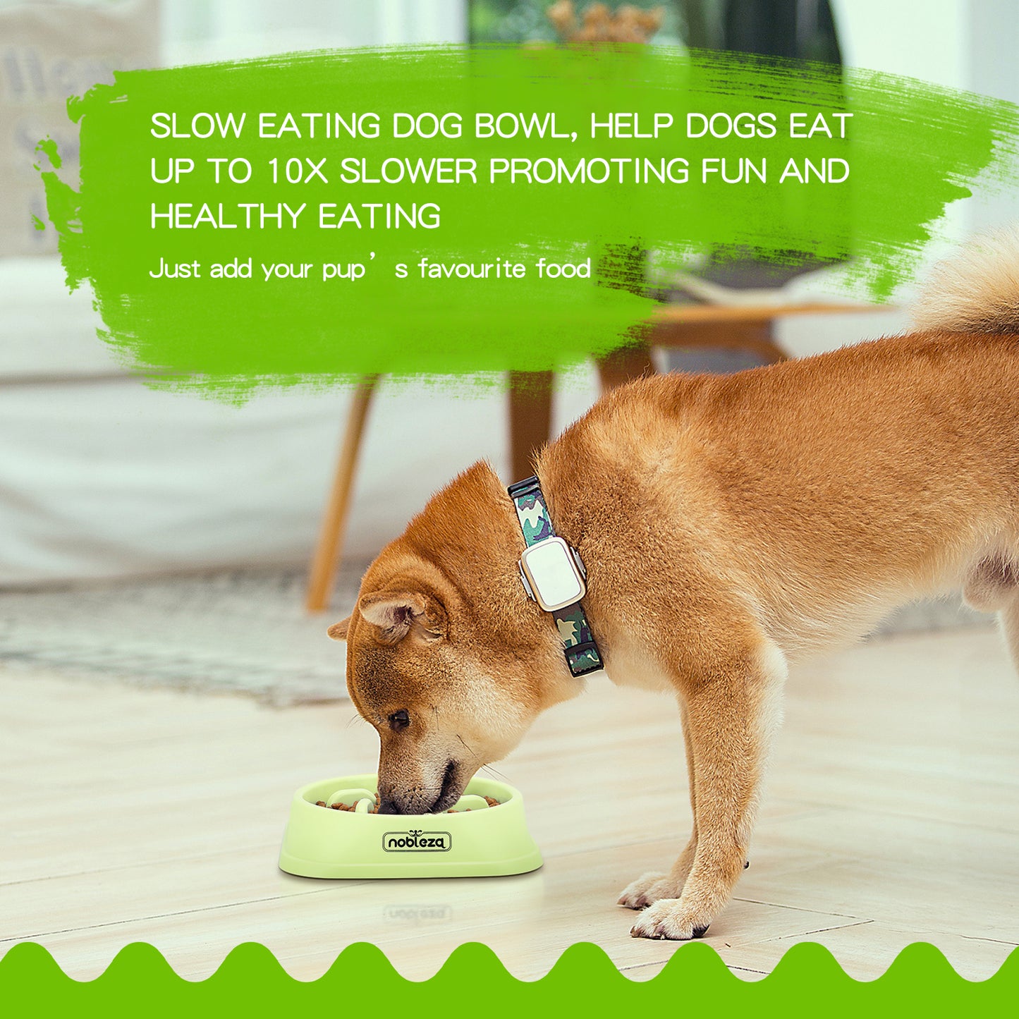 💚Comedero Antivoracidad Verde (Nobleza)