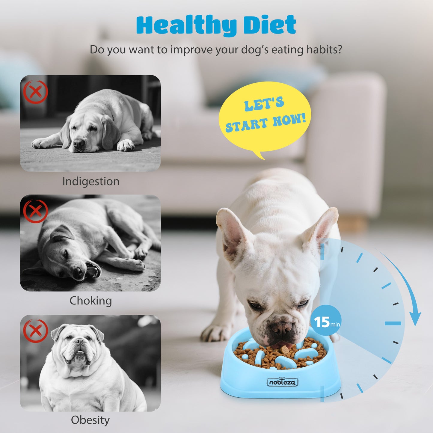 Colchoneta talla grande 95x75 Edgar Sand comodidad y bienestar en formato XL + Comedero Nobleza Gratis