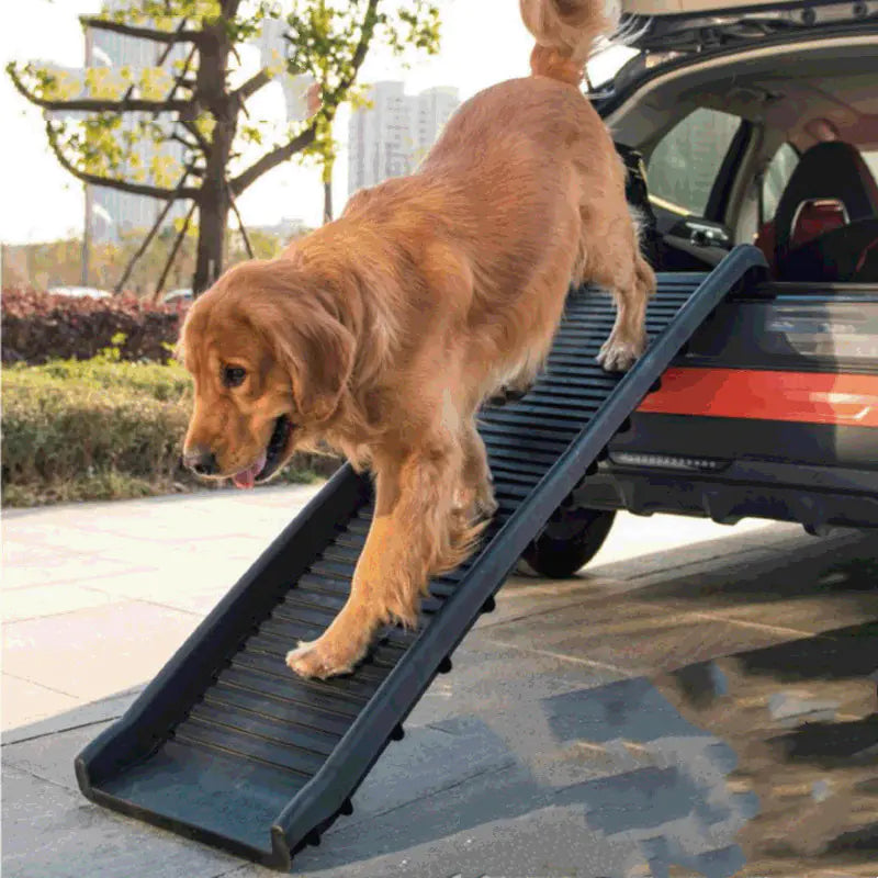 Escalera y rampa plegable antideslizante de plástico para mascotas🐾✨