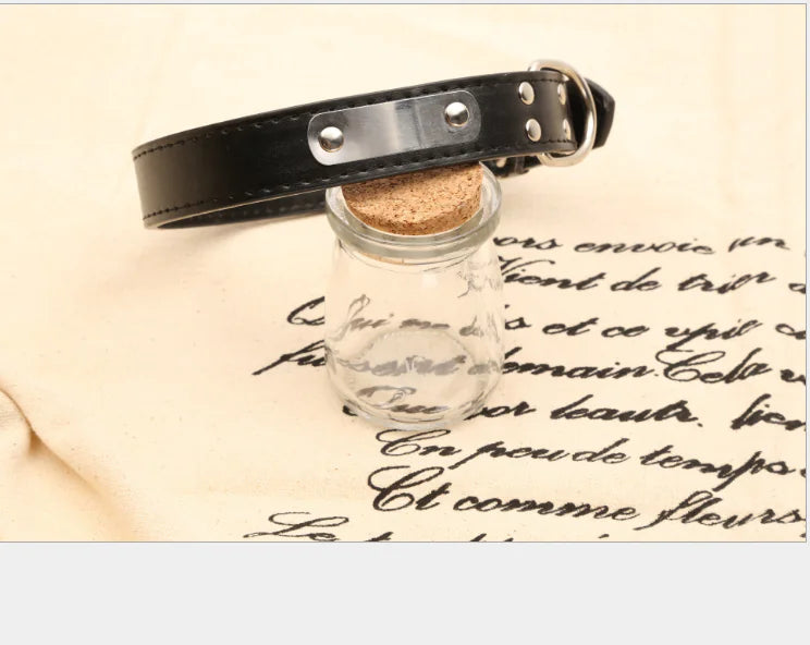 Collar para mascotas personalizado 😻🐾