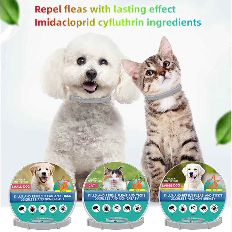 🦟 Anillo Repelente de Insectos para Collar de Perros y Gatos