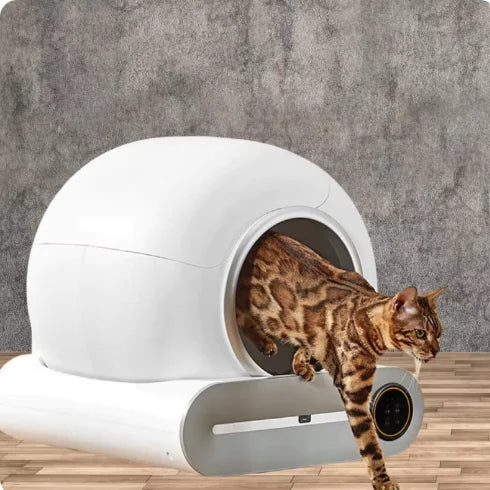 "Caja de arena inteligente y automática para gatos" 🐱