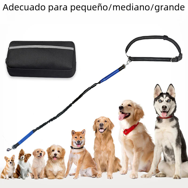 Riñonera Deportiva para Mascotas con Correa – Ideal