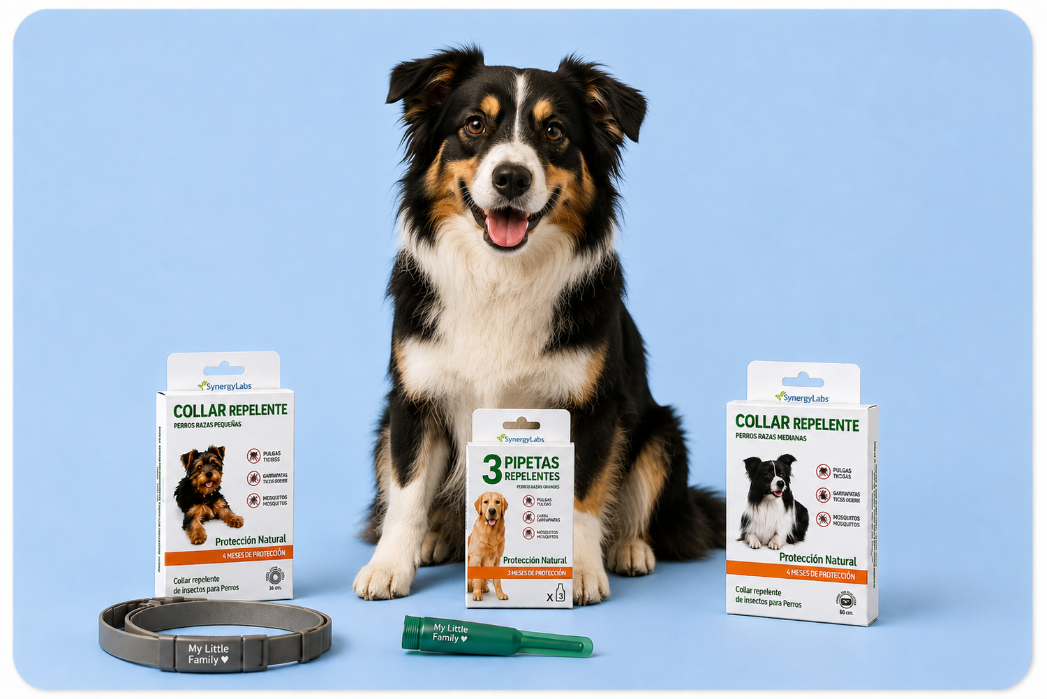 Antiparasitarios para perros