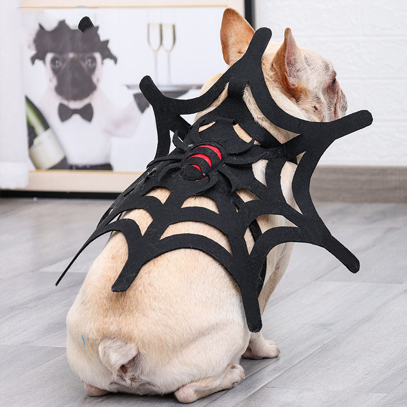 Set de decoración de telaraña para gato y perro de Halloween🎃