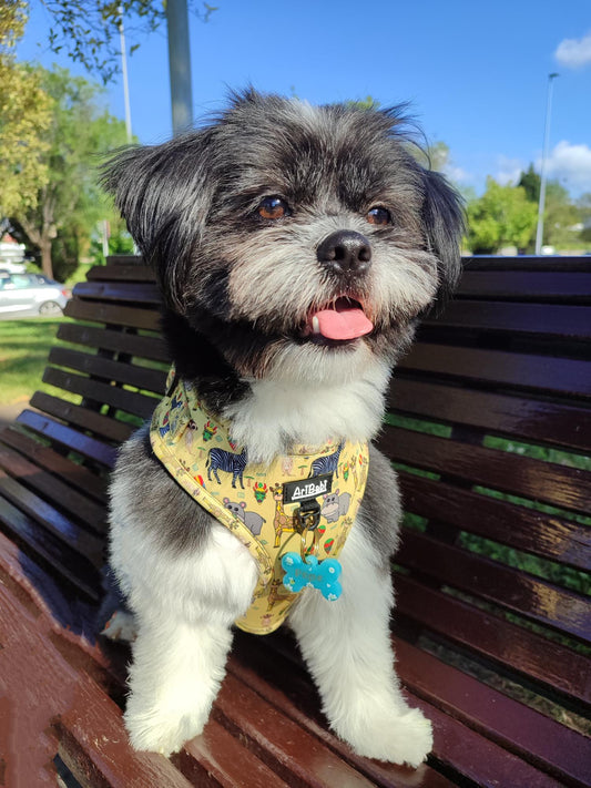 Arnés Ajustable Kenia