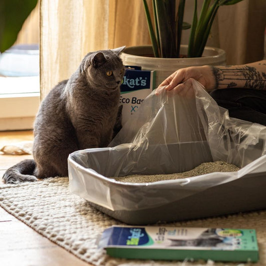 Biokat’s Eco Bags XXL – Bolsas higiénicas ecológicas para areneros de gato 🐾🌿