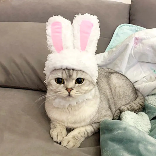 Diadema para Mascotas con Orejas de Conejo