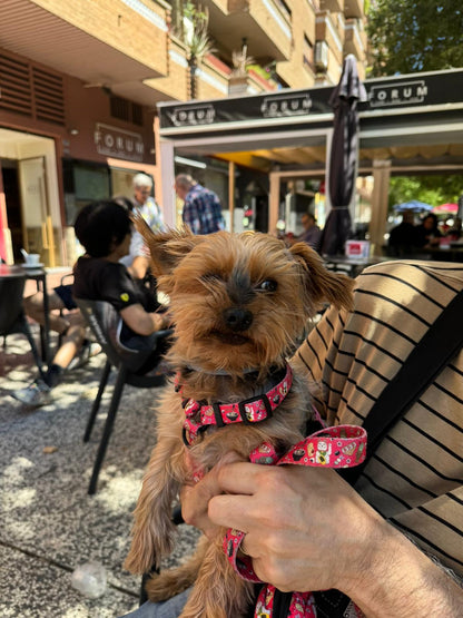 Arnés Clásico Ajustable Tokio