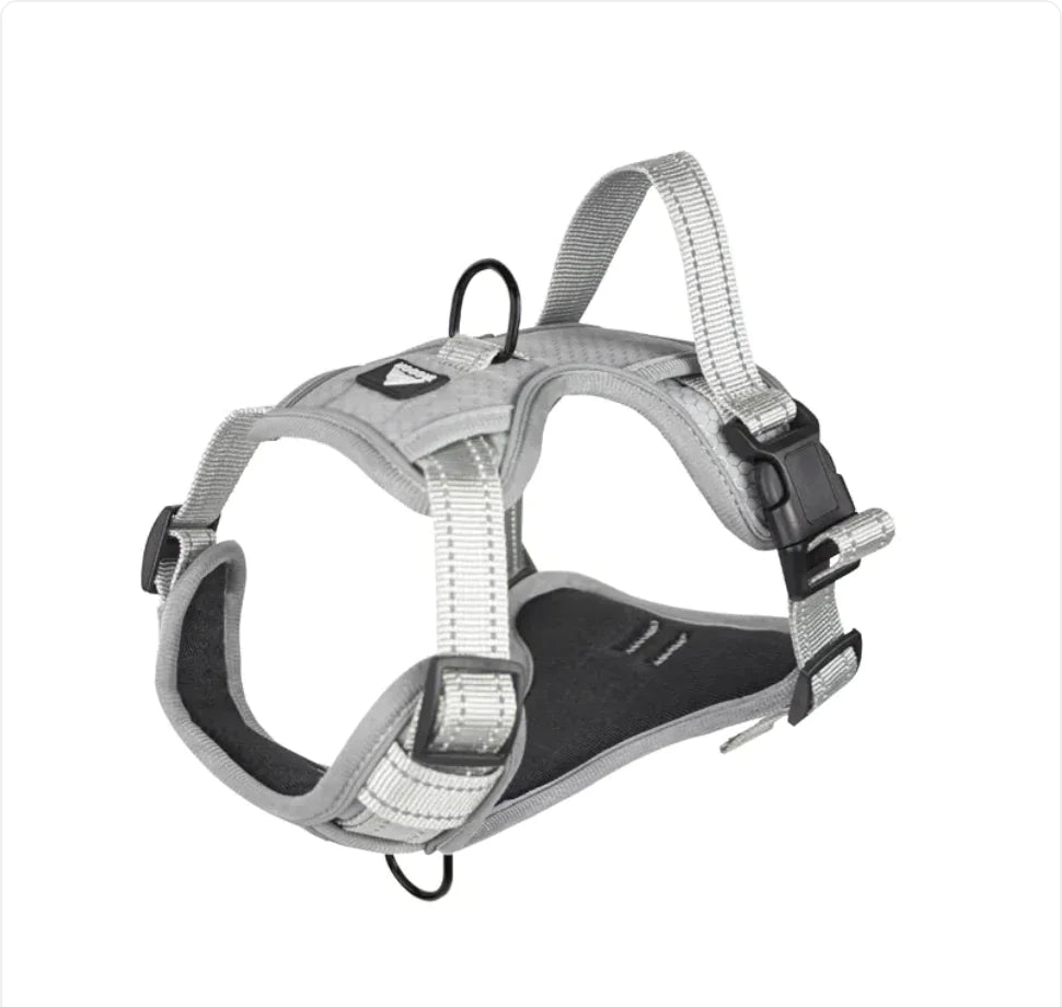 Arnés de Seguridad Reflectante con Correa para Perros🐕‍🦺🐾