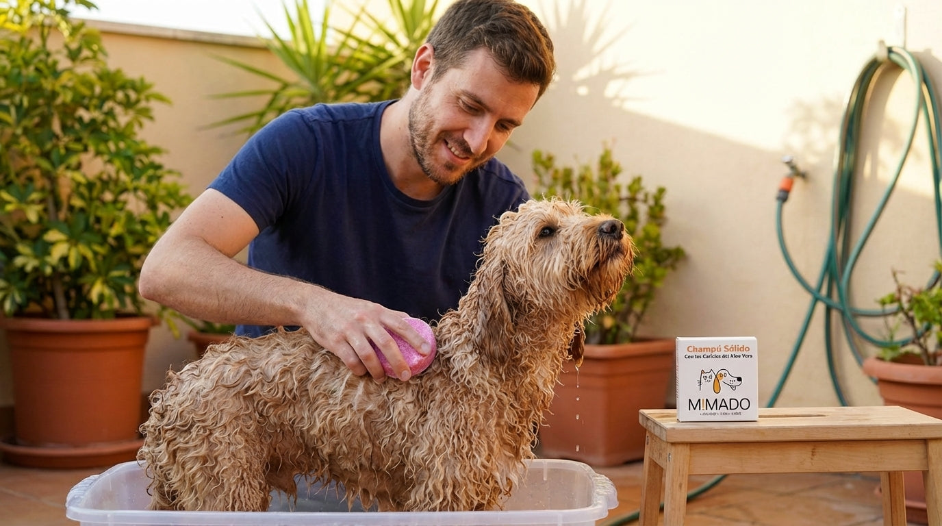 Champú Sólido Natural para Perros y Gatos con Aloe Vera – Hidratación y Calma para Pieles Sensibles y Atópicas 🛁