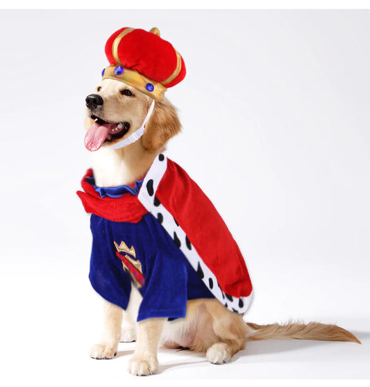 Set de accesorios capa real para perros – Pet King🐶