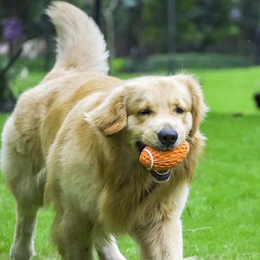 Juguete resistente para perros – ideal para el juego y contra el aburrimiento