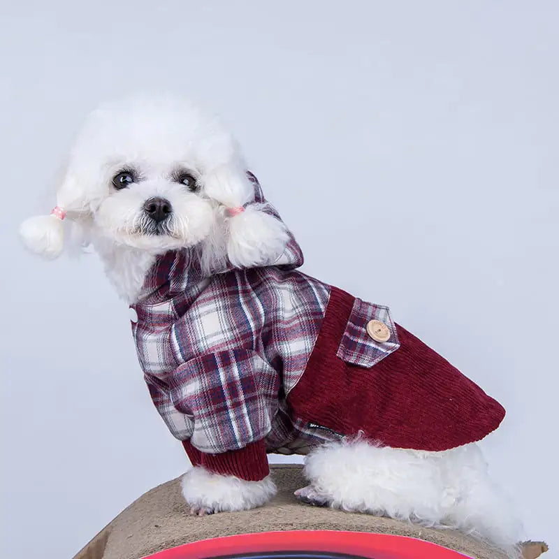 Abrigo Teddy VIP para perros pequeños de felpa y cachemira🐾❄