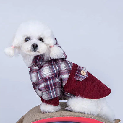 Abrigo Teddy VIP para perros pequeños de felpa y cachemira🐾❄