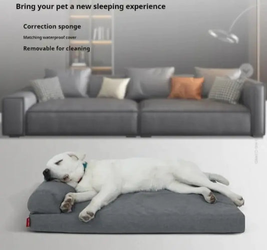 🐶✨ Cama Impermeable para mascotas con Cojín Viscoelástico y Funda de Lino