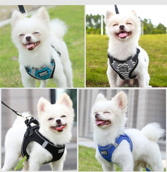 Arnés para perro con correa y traje de tracción🐶