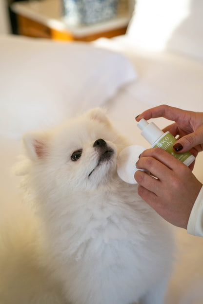 Limpiador ocular y zona lagrimal