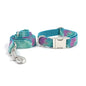 Collar Resistente para Perros con Correa de Tracción