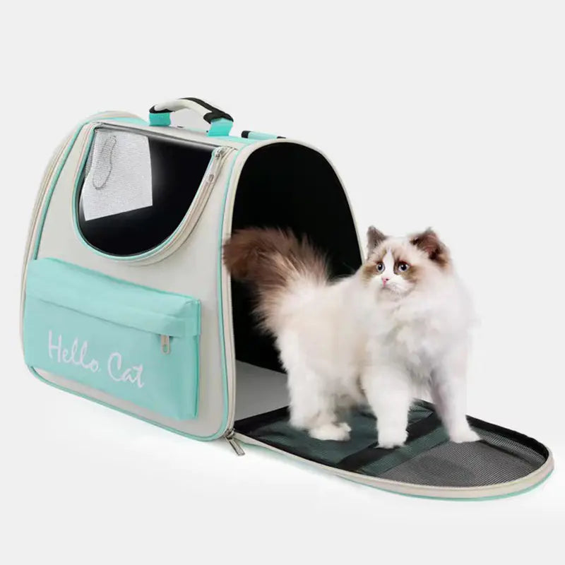 😻Nueva Mochila Transportadora para Gatos – Diseño Transparente y Espacioso