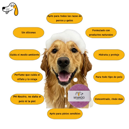 Champú Sólido Natural para Perros y Gatos con Aloe Vera – Hidratación y Calma para Pieles Sensibles y Atópicas 🛁