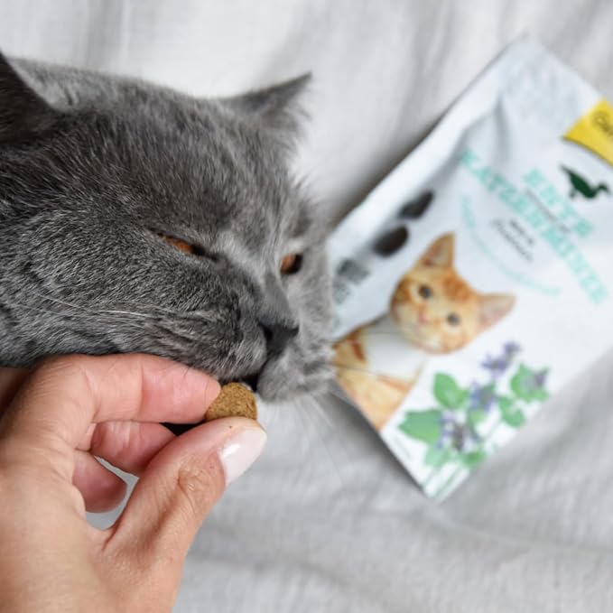 😻 Snack crujiente de pato enriquecido con menta + Catnip 😺✨