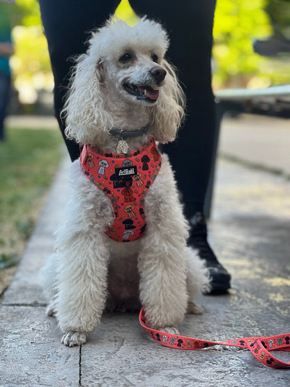 Arnés Ajustable Caniches