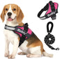 🐾🐕‍🦺Arnés doble para perros con correa incluida❤✨