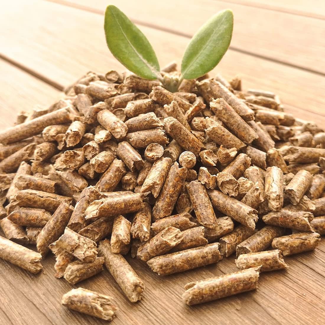 🌿Absorsol Mascotas – Viruta Granulada Universal 8L🌱