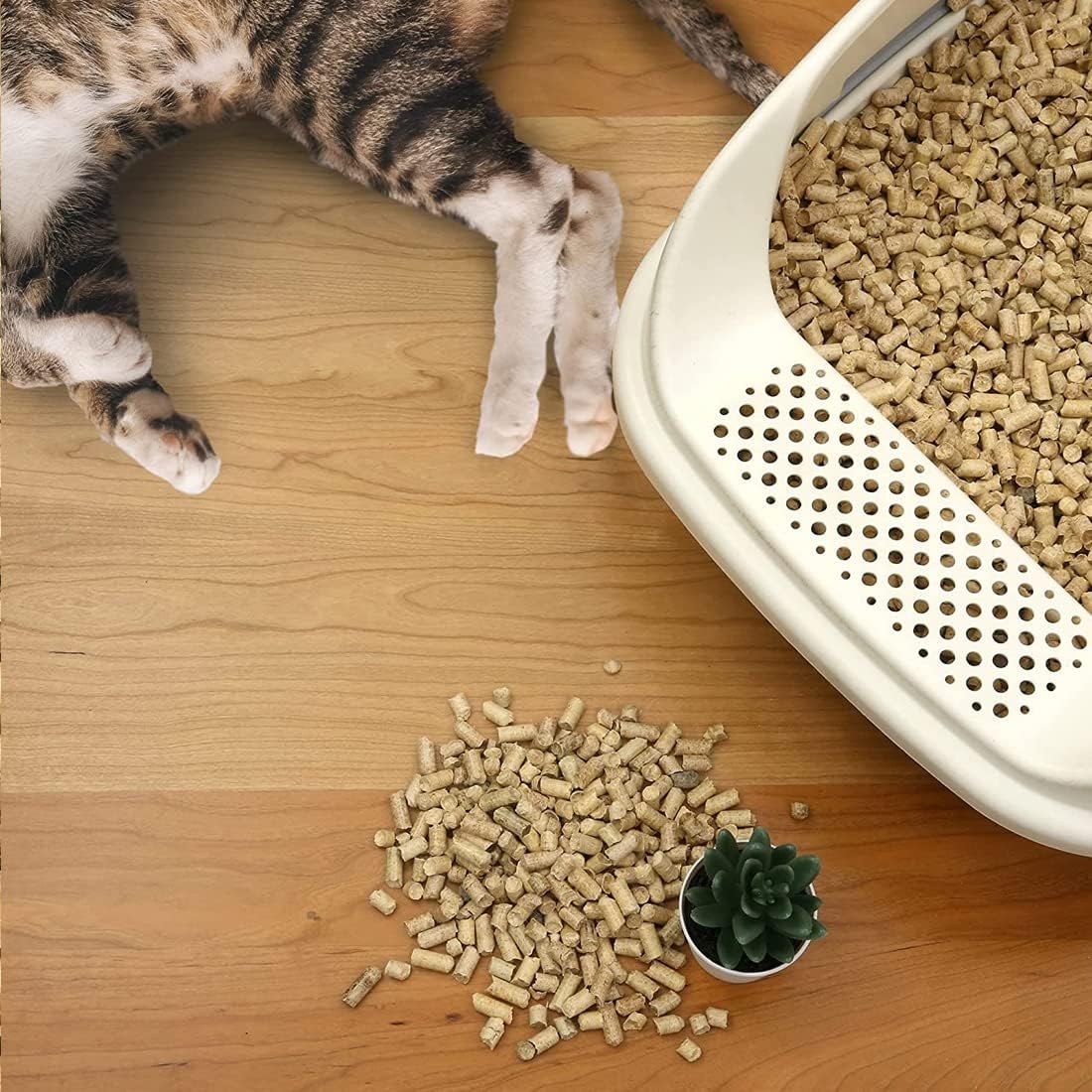🌿Absorsol Mascotas – Viruta Granulada Universal 8L🌱