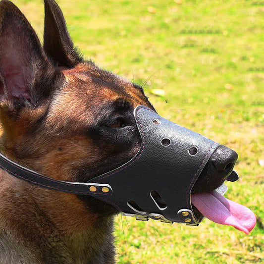 Bozal para Perros Medianos y Grandes🐶