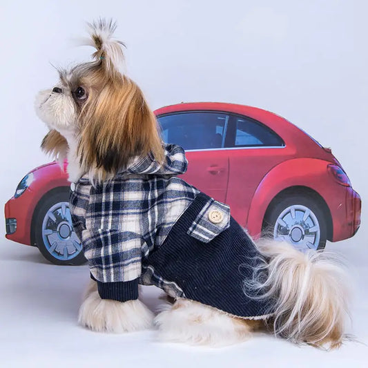 Abrigo Teddy VIP para perros pequeños de felpa y cachemira🐾❄