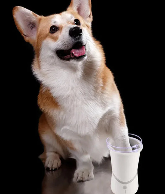 Limpia Patas Automático para Mascotas🐾✨