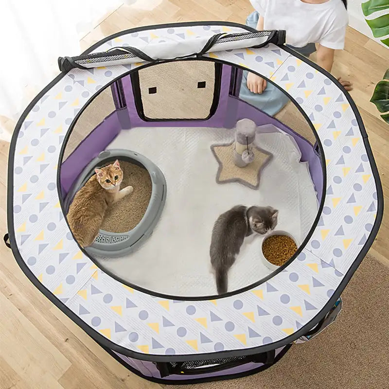 Tienda Plegable Cerrada para Sala de Parto de Gatos😻🐾