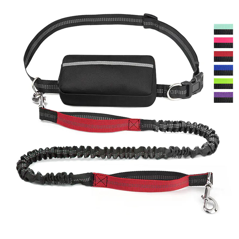 Riñonera Deportiva para Mascotas con Correa – Ideal