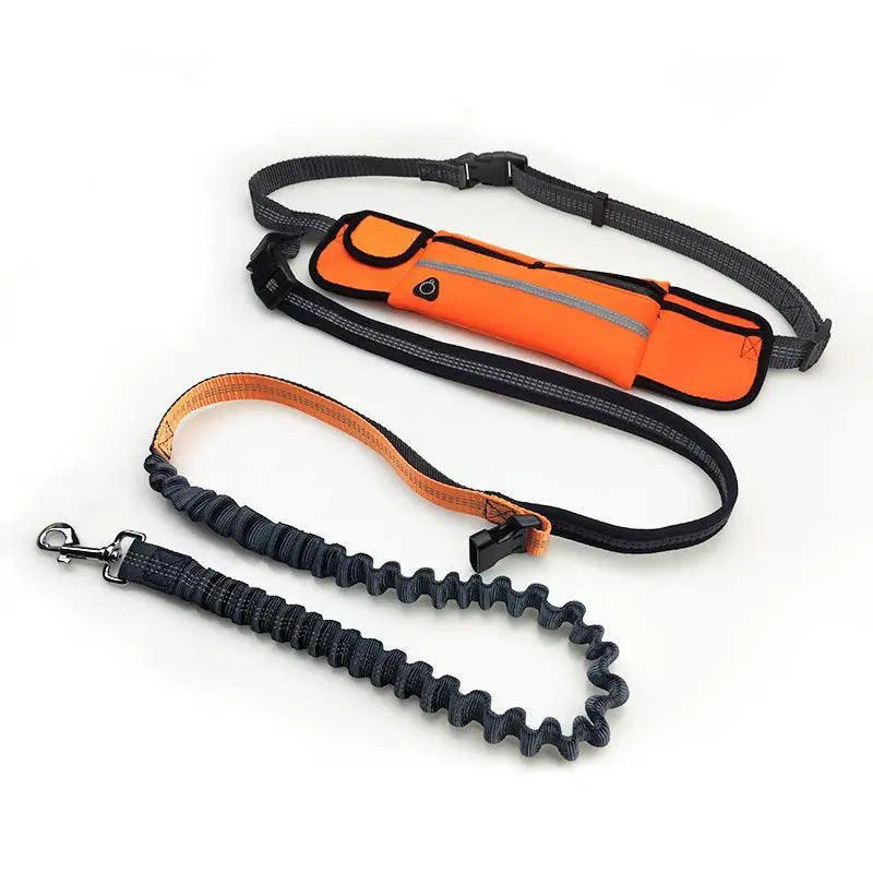 Riñonera Impermeable para Mascotas – Correa Deportiva para Correr