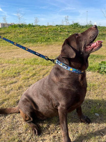 Collar Ajustable Laika