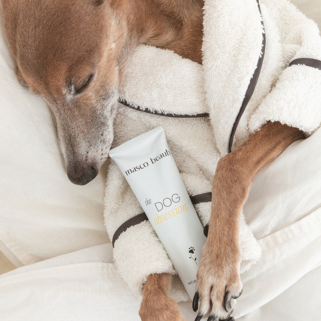 Crema- Mousse almohadillas, hocico y zonas secas