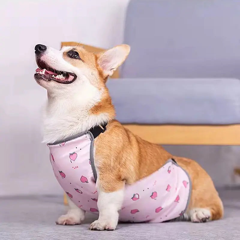 Chaleco de verano para perros pequeños y gatos con estampado🐶🐾