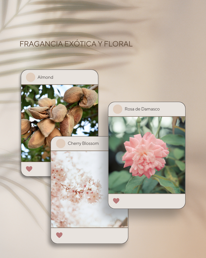 Bruma perfumada PARADISE DOG