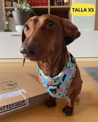 Arnés Ajustable FrigoPata