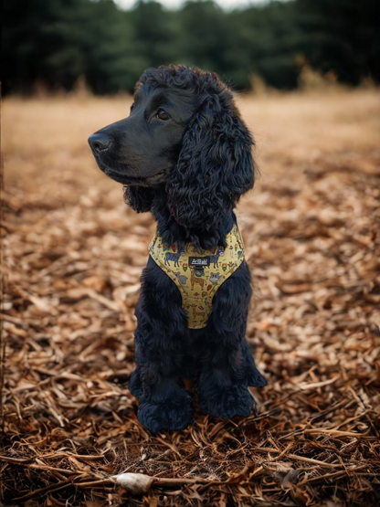 Arnés Ajustable Kenia