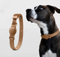Protector de cuero para collar anti pérdida – Para perros y gatos🐾😻🐶
