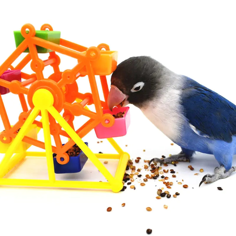 Juguete colorido para loros para buscar comida y estimular el crecimiento de la inteligencia