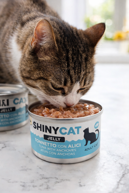 🐱 ShinyCat Jelly Atún con Anchoas – Comida húmeda premium para gatos